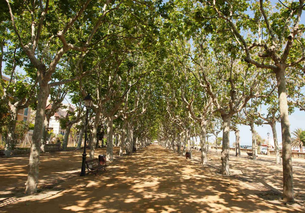 Calella - Passeig Manuel Puigvert