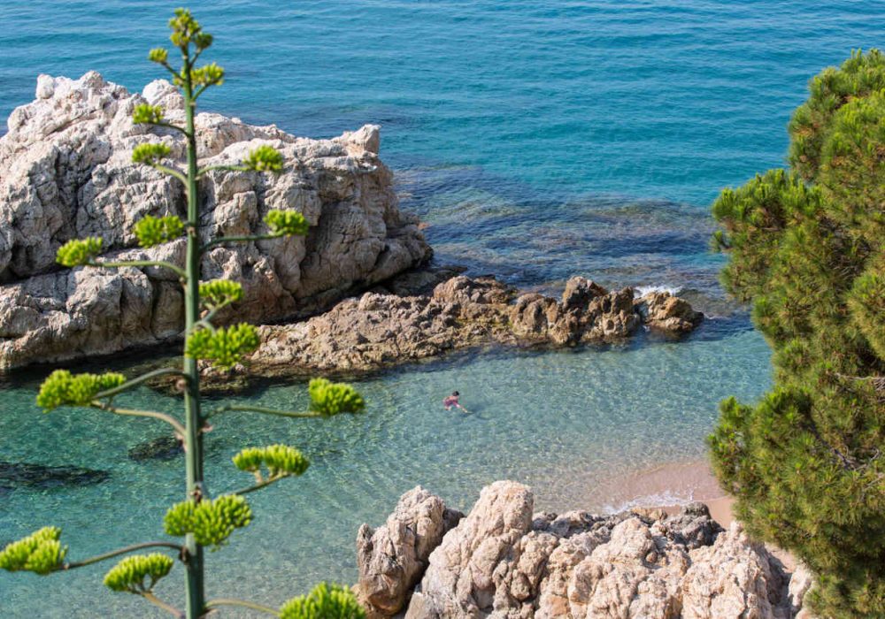 Playa de Les Roques, Calella